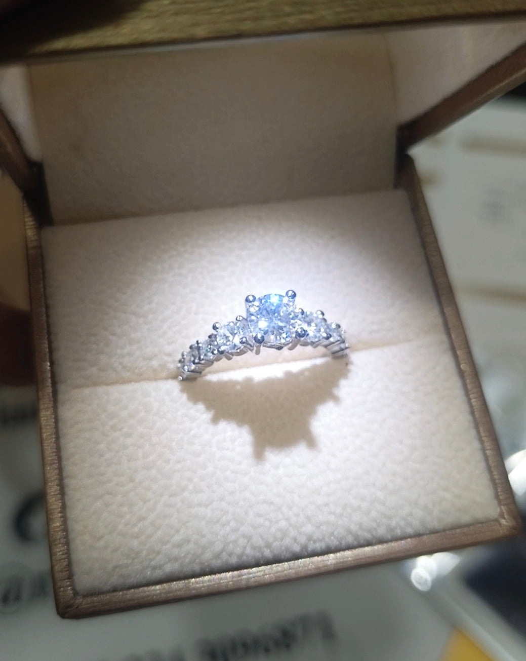 Elevated Halo Moissanite Ring -VVS1 Certified 💎